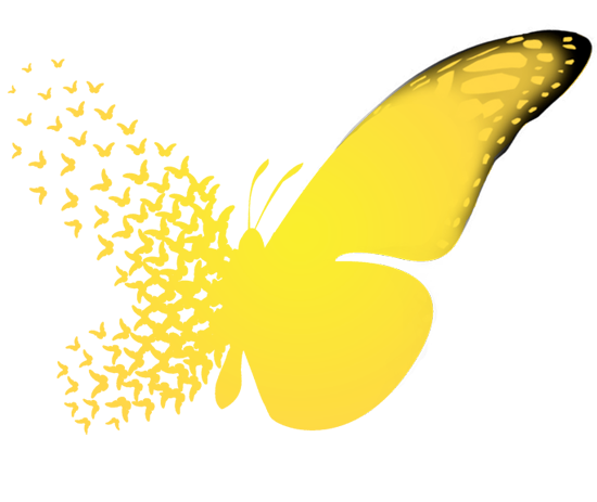 butterfly_logo.png